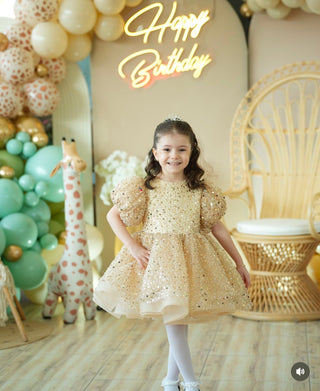 Elegant Gold Dekolte Kapalı Bisiklet Yakalı Elbise