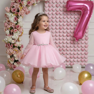 Pembe Organze Beli Taşlı Uzun kol Elbise