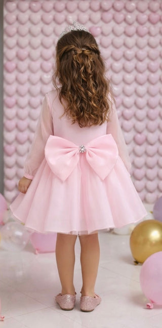 Pembe Organze Beli Taşlı Uzun kol Elbise