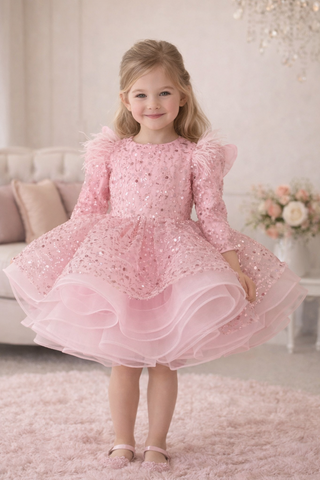 Vanessa Taşlı Pudra uzun kol omuzları tüy aksesuarlı elbise