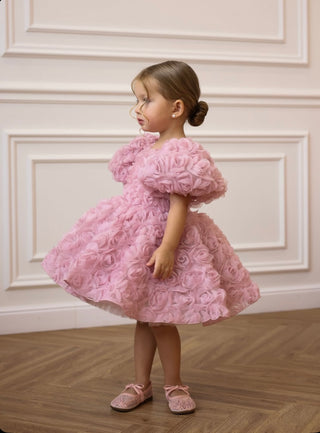 Manolya Pudra Gül YuvarlakYaka Sırtı V Kız Çocuk Elbise